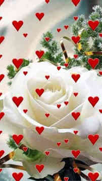 Good Morning Roses
